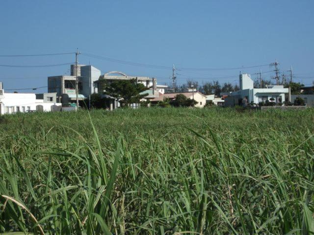 Akachichi Guesthouse Onna Exterior foto