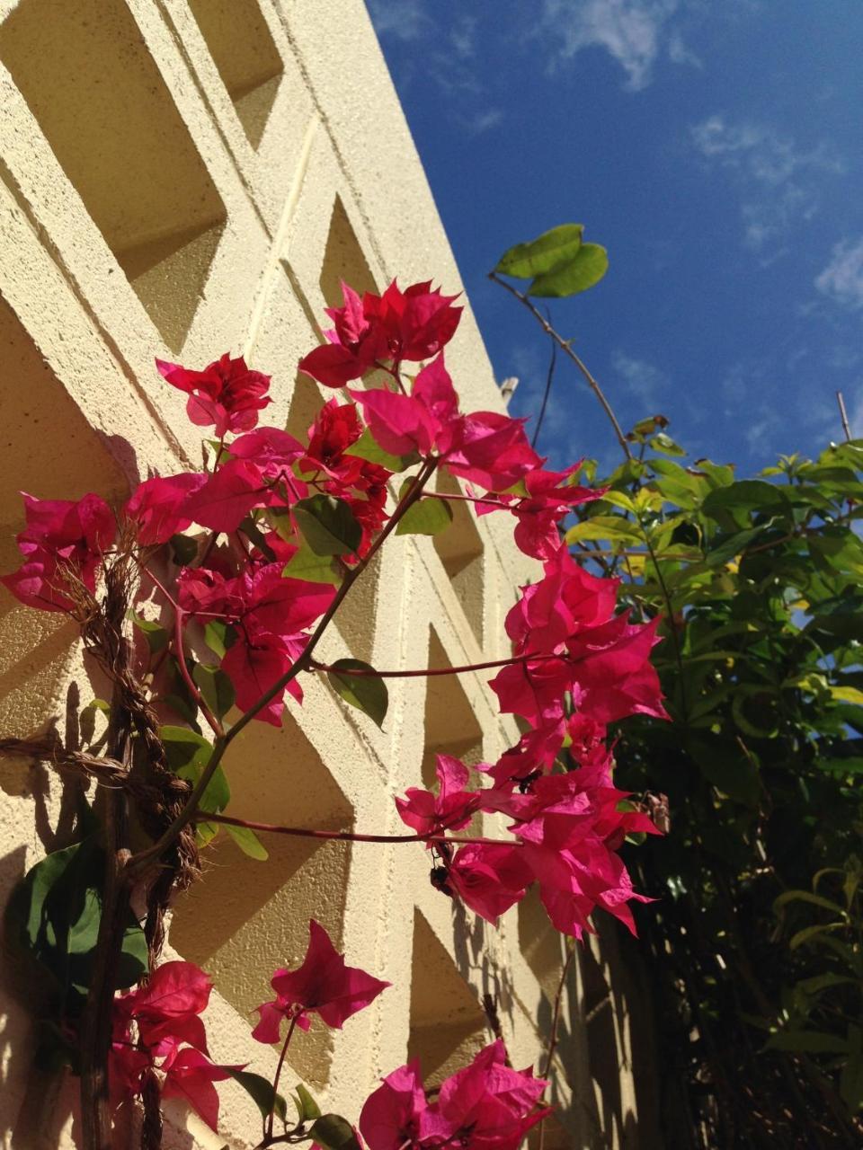 Akachichi Guesthouse Onna Exterior foto